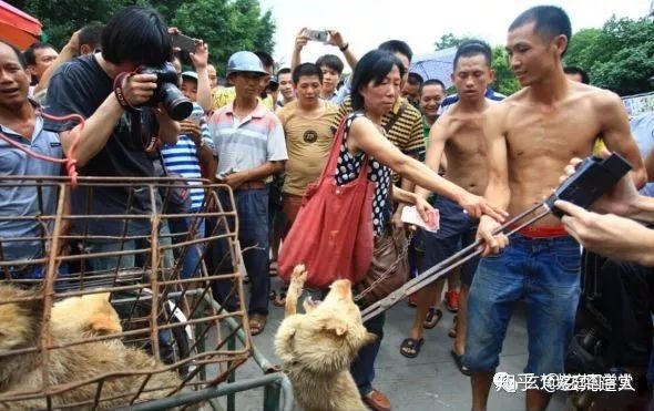 广西名人祖坟风水_名人祖坟风水图片_玉林名人祖坟风水