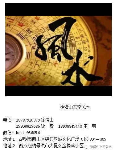 2020年玄空飞星盘及化解图_玄空风水2020年中宫_中华大玄空风水杜彦霖