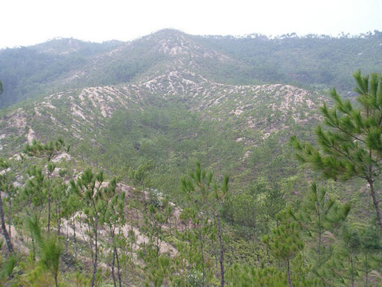 坟地风水学_坟地的风水_农村真实坟地风水事件