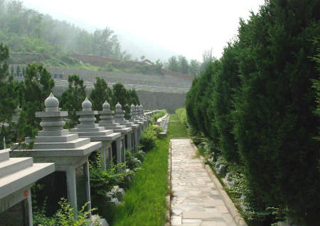 门前栽什么树风水好吗_好坟地风水_坟地栽什么树风水好