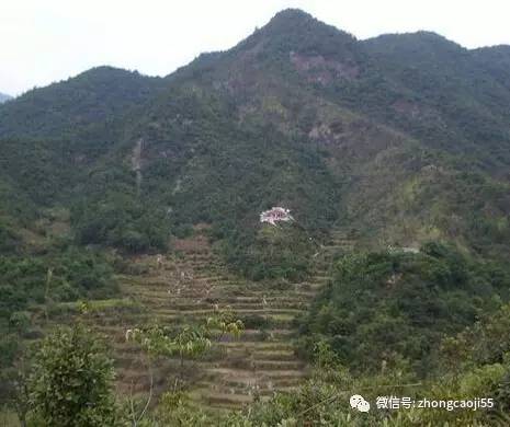 八宅风水与九宫飞星_八宅派,走马阴阳,玄空风水哪个好_风水八宅派源流