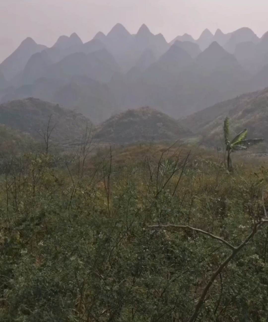 苏州风水宝地有哪些呢？报名申请您就能获得免费设计