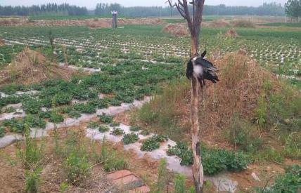 祖坟风水被破 （李向东）胡侃的故事：胡侃山改