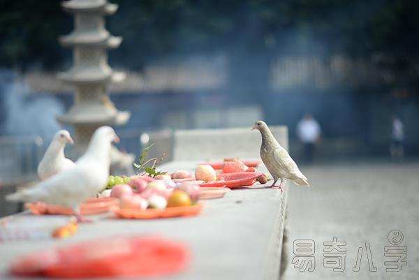 慈世堂：店铺招财风水摆什么招财，有关资料