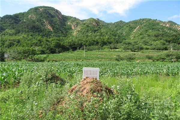 不瞒你说:祖坟墓地风水好的5大征兆