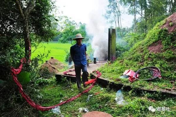 清明去上坟扫墓，墓地栽什么树风水好呢？