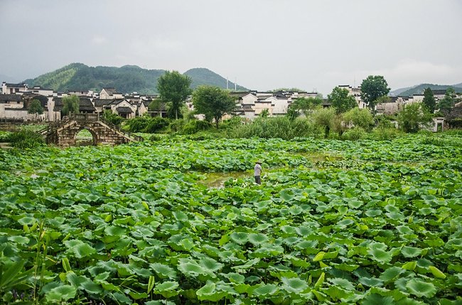 中国风水第一村的呈坎，你知道几个？