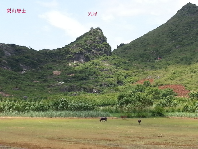 风水犀牛地埋在哪里？山风水宝地犀牛望月