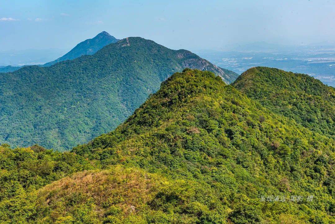 （李向东）风水,乾山巽向水出巽位吉凶