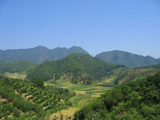 什么是好的墓地风水